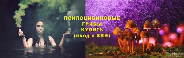 СК Арсеньев