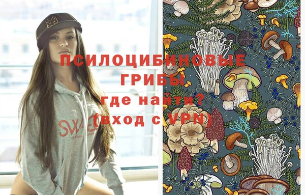 СК Арсеньев