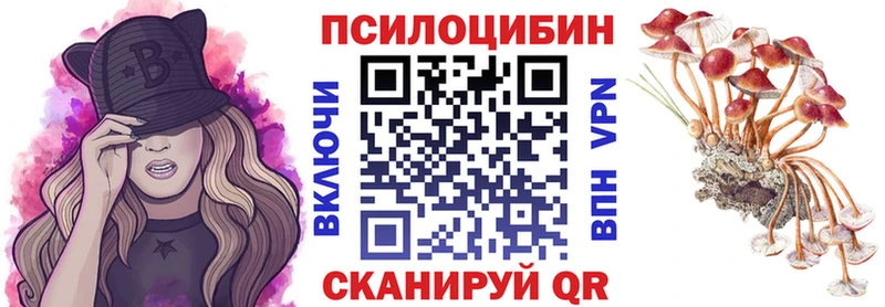 как найти Георгиевск Псилоцибиновые грибы MAGIC MUSHROOMS