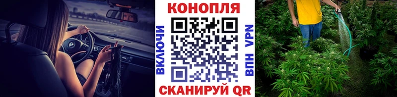 Шишки марихуана конопля ОМГ ОМГ онион Георгиевск
